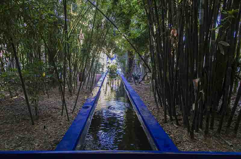 207 - Marruecos - Marrakech - jardin Majorelle